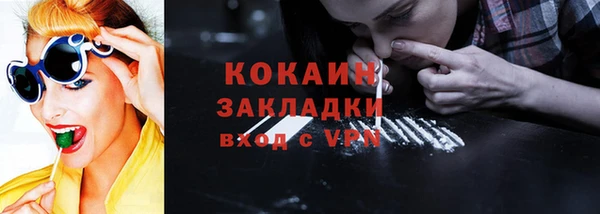 спиды Бородино