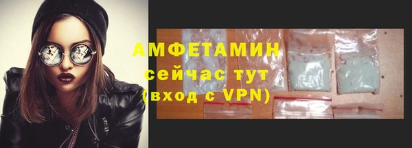 спиды Бородино