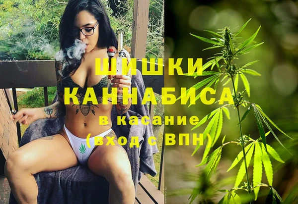 спиды Бородино
