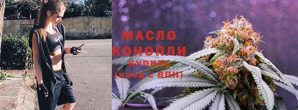спиды Бородино