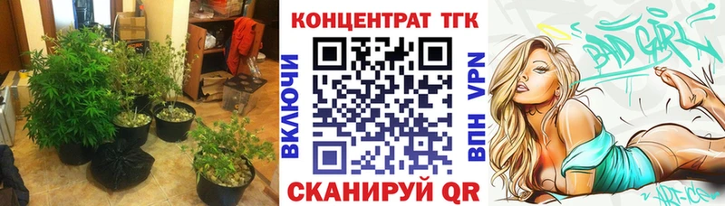 ТГК концентрат  Павловская 