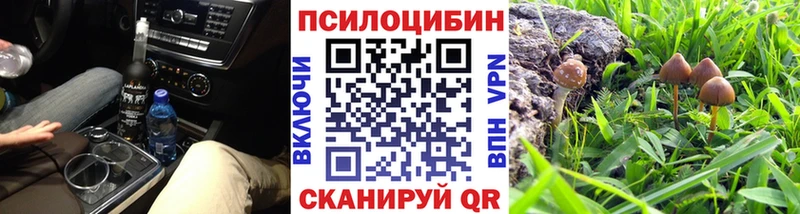 Псилоцибиновые грибы ЛСД  Павловская 